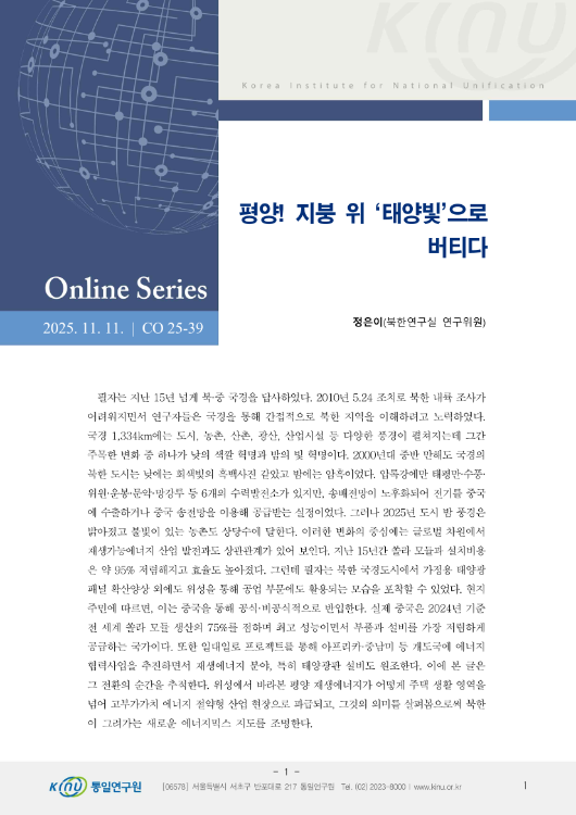 평양! 지붕 위 ‘태양빛’으로 버티다 표지
